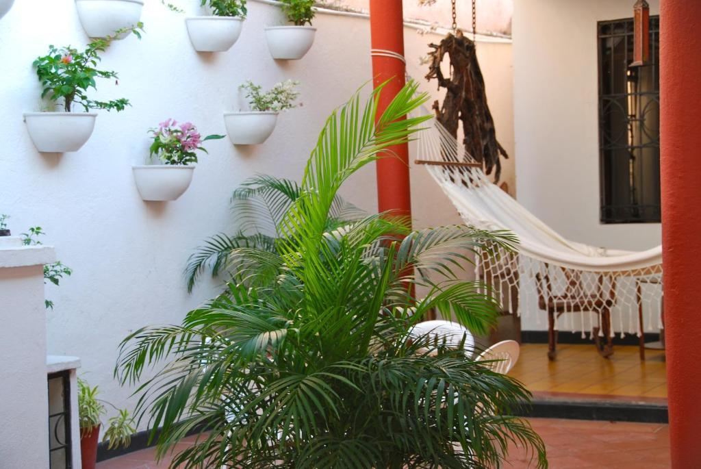 Hotel Del Parque サンタ・マルタ エクステリア 写真
